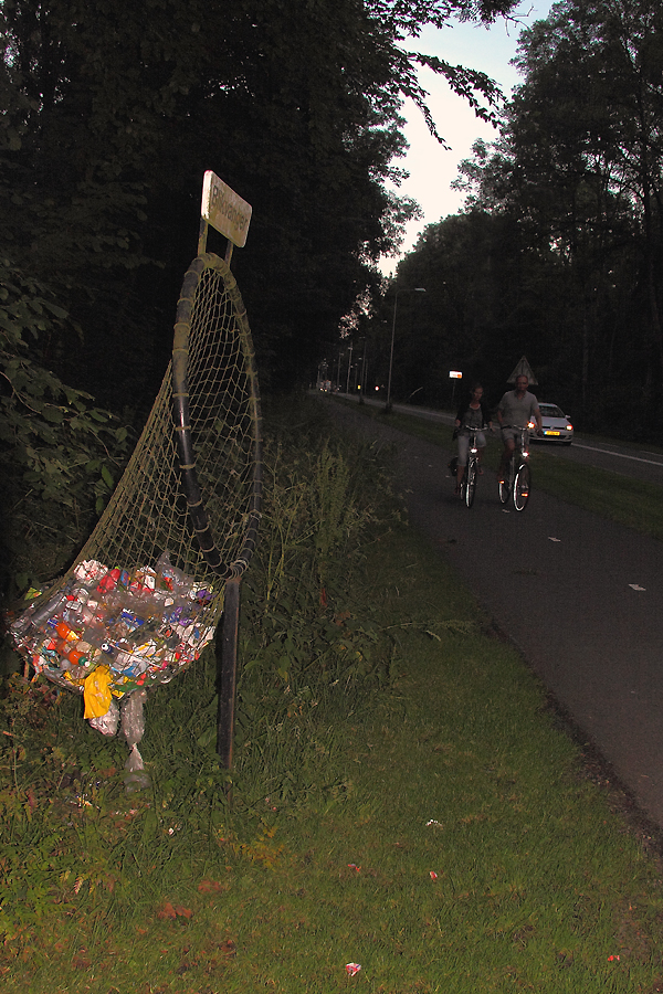 langs de weg in de berm, juni 2016