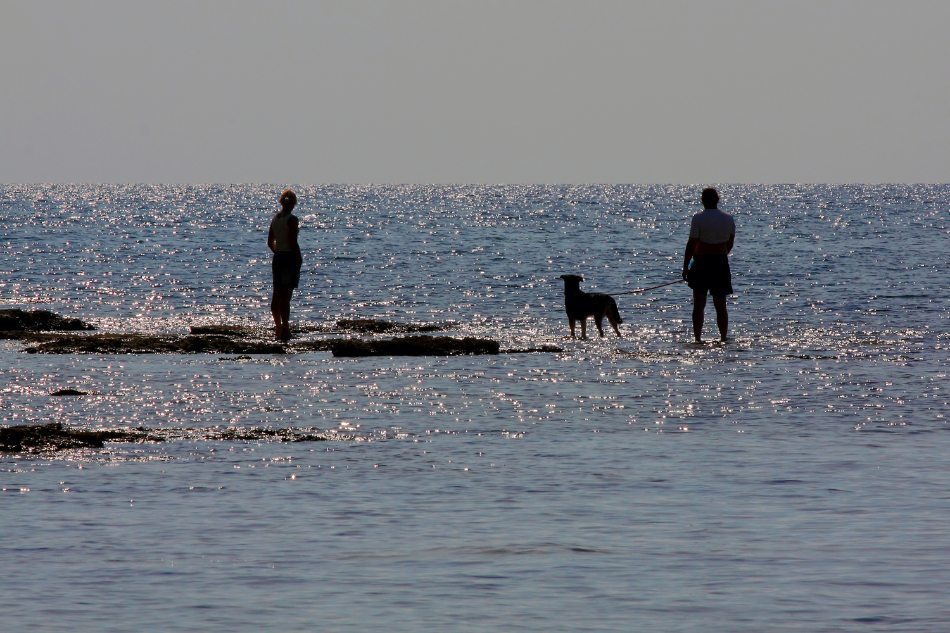 walking on the water, krant dec 216