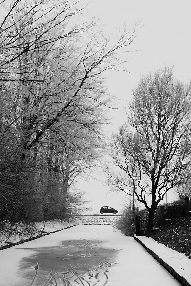 Noordoostpolder in de winter