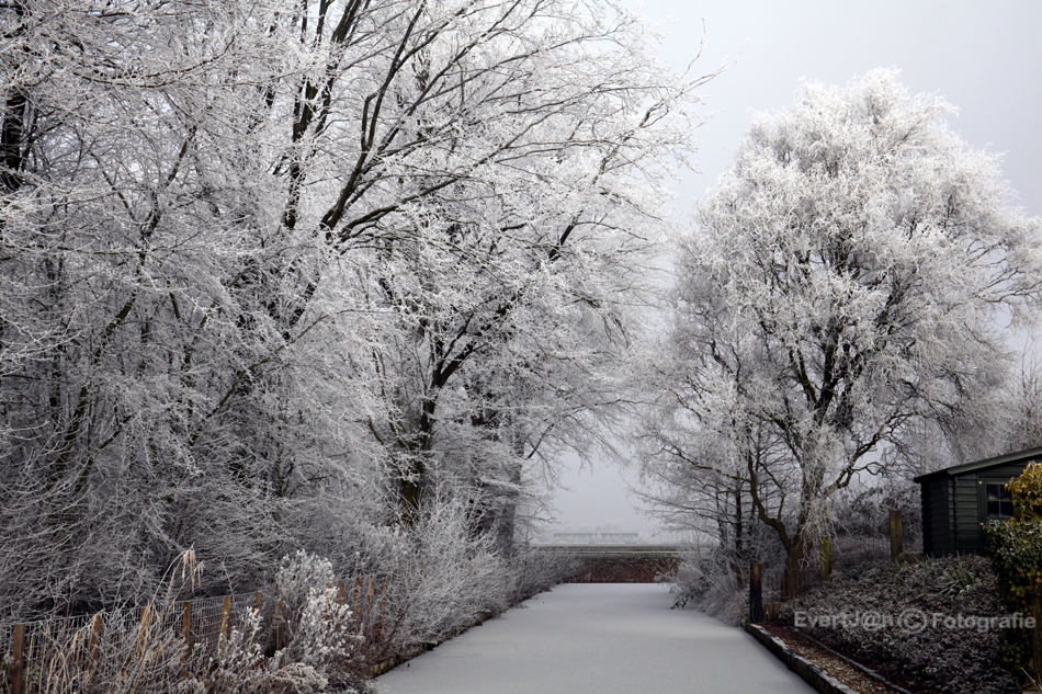 winter in de Noordoostpolder, januari 2017