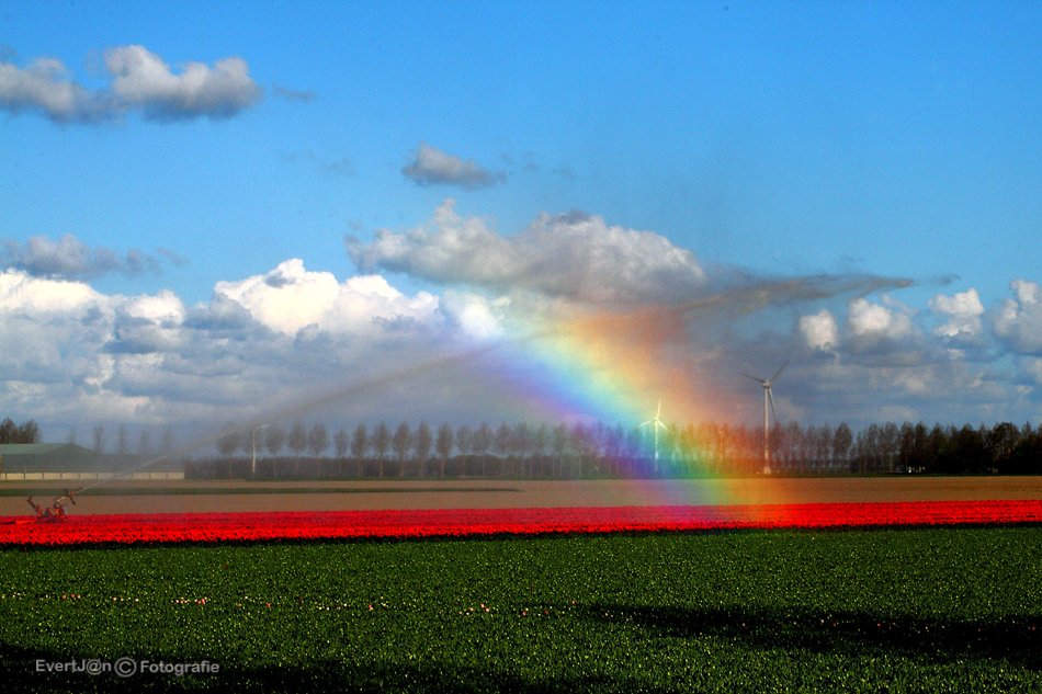 small rainbow